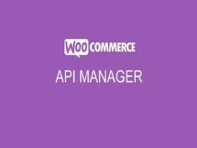 Wtyczka Addon Plugin WooCommerce API Manager