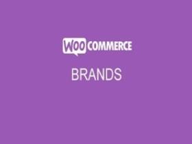 Wtyczka Addon Plugin WooCommerce Brands Marki