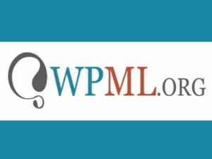 Addon Plugin WPML Multilingual CMS WordPress