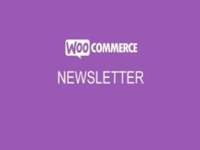 Wtyczka Plugin Addon WooCommerce Newsletter Subscription