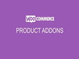 Wtyczka Addon Plugin WooCommerce Product Add-Ons
