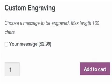 Wtyczka Addon Plugin WooCommerce Product Add-Ons