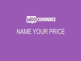 Wtyczka Addon Plugin Woocommerce Name Your Price