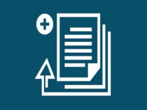 Wtyczka Wp Rich Snippets Front-End Entry Submit Addon