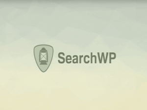 Wtyczka SearchWP Polylang Addon Wordpress Plugin