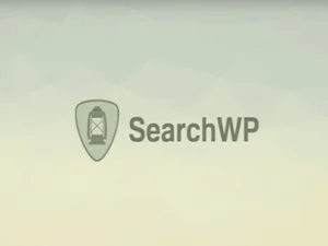 Wtyczka SearchWP Polylang Addon Wordpress Plugin