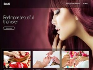 Szablon Css Igniter Beaute Wordpress Theme