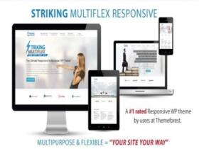 Szablon Striking – Multiflex & Ecommerce Responsive Wp Theme