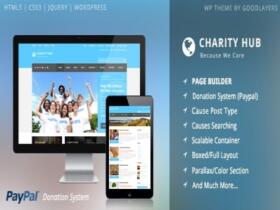 Szablon Charity Hub – Charity Nonprofit Fundraising Wp