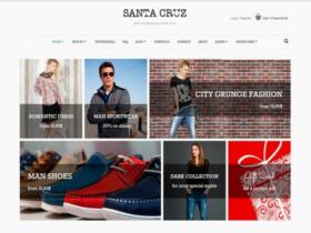 Szablon Yith Santa Cruz Premium Woocommerce Themes