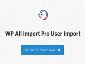 Wtyczka Soflyy Wp All Import Pro User Import Addon | Sklep z dodatkami premium WP Allkeystore.pl