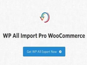 Wtyczka Soflyy Wp All Import Pro Woocommerce Addon