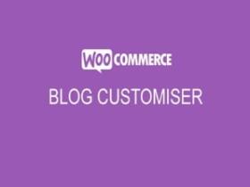 Wtyczka Addon Plugin Woocommerce Storefront Blog Customiser