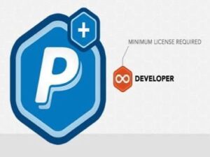 Wtyczka Rocket Genius Gravity Forms Paypal Payments Standard Addon