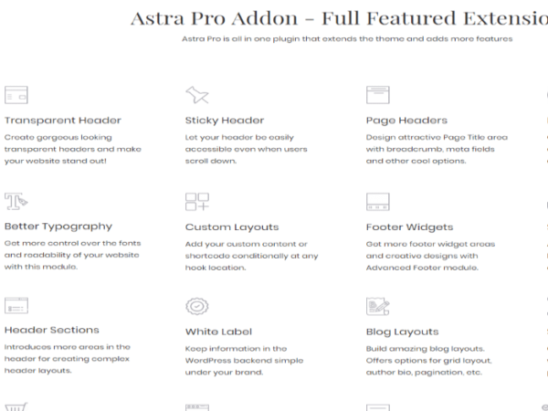 Brainstorm Force Astra Pro Wordpress-Plugin