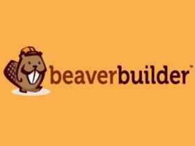 Wtyczka Addon Plugin Beaver Builder Professional WordPress Plugin