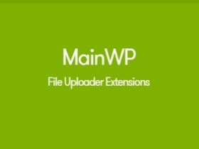 Wtyczka Mainwp File Uploader Extension