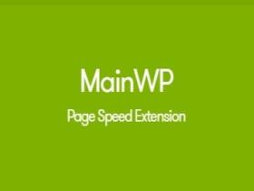 Wtyczka Mainwp Page Speed Extension