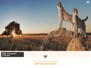 Wtyczka WP Fastest Cache Premium