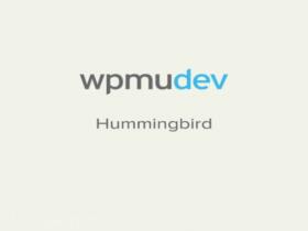 Wtyczka WPMU DEV Hummingbird Caching Plugin