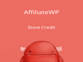 Wtyczka Affiliatewp Store Credit Add-On