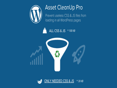 Wtyczka Asset Cleanup Pro