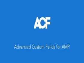 Wtyczka ACF For Amp | Sklep z dodatkami premium WP Allkeystore.pl