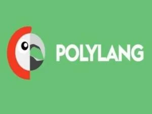 Wtyczka Polylang Pro | Sklep z dodatkami premium WP Allkeystore.pl