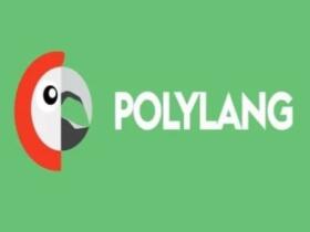 Wtyczka Polylang for WooCommerce | Sklep z dodatkami premium WP Allkeystore.pl