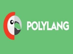 Wtyczka Polylang for WooCommerce