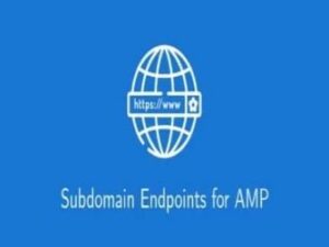 Wtyczka Subdomain Endpoints For Amp