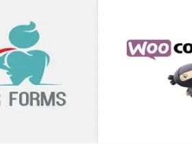 Wtyczka Super Forms – Woocommerce Checkout Add-On | Sklep z dodatkami premium WP Allkeystore.pl