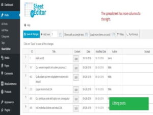 Wtyczka WP Sheet Editor Premium