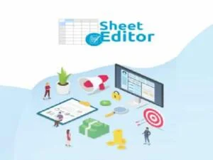 Wtyczka WP Sheet Editor Categories & Tags Pro | Sklep z dodatkami premium WP Allkeystore.pl