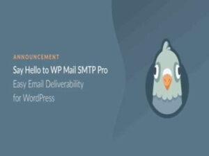 WP Mail SMTP Pro-Plugin