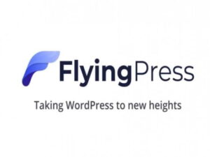 Wtyczka FlyingPress - Taking WordPress To New Heights