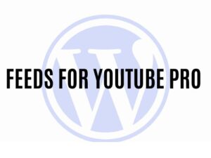 Wtyczka Feeds for YouTube Pro