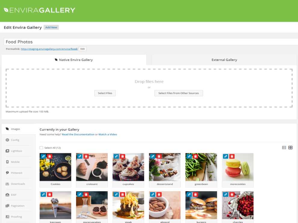 Wtyczka Envira Gallery Pro + Dodatki | Sklep z dodatkami premium WP Allkeystore.pl