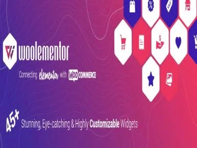 Wtyczka CoDesigner Pro (Formerly Woolementor Pro) | Sklep z dodatkami premium WP Allkeystore.pl