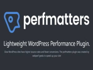 Wtyczka Perfmatters – Lightweight WordPress Performance Plugin