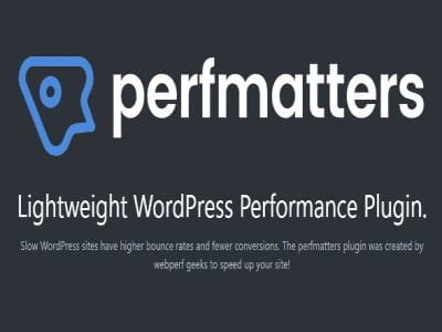 Wtyczka Perfmatters – Lightweight WordPress Performance Plugin | Sklep z dodatkami premium WP Allkeystore.pl