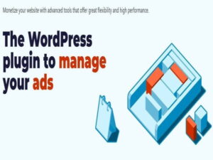 Wtyczka Advanced Ads Pro + DODATKI