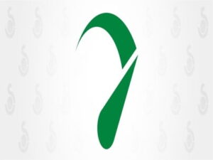 Wtyczka Seraphinite Accelerator