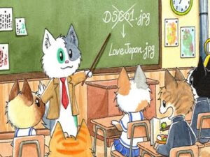 Wtyczka Media File Renamer Pro