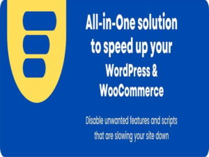 Wtyczka Disable Bloat Pro For WordPress WooCommerce