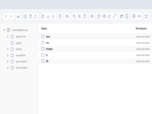 Wtyczka File Manager Pro