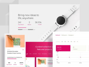 Wtyczka WP Crowdfunding Pro Wordpress Plugin