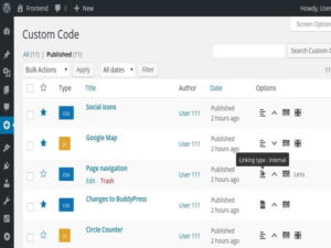Einfaches benutzerdefiniertes CSS- und JS PRO-Plugin