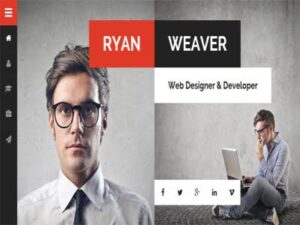 Szablon Divergent Personal Vcard Resume WordPress Theme
