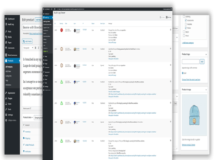 Wtyczka WP Activity Log Premium